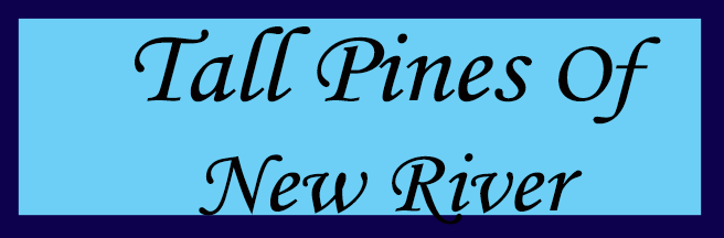 Tall Pines Of New River - Affordable Homes For Sale